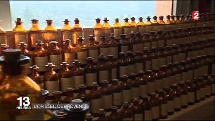 L'or bleu de Provence