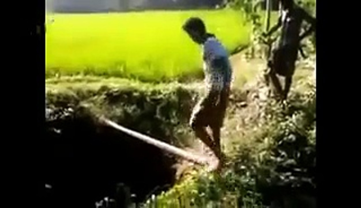 OMG!!! Foolish Solution