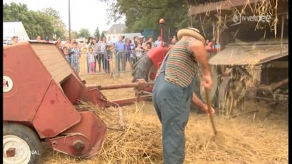 Patrimoine : Foire à l'ancienne 2016 (Vendée)