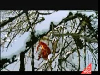 YAŞAR İPEK Bir alo de