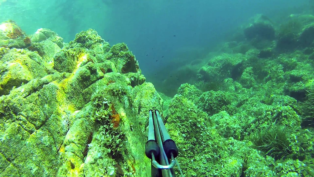 GOPRO TEASER