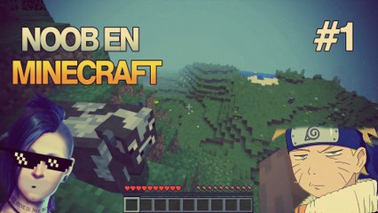 Noob En Minecraft - Minecraft