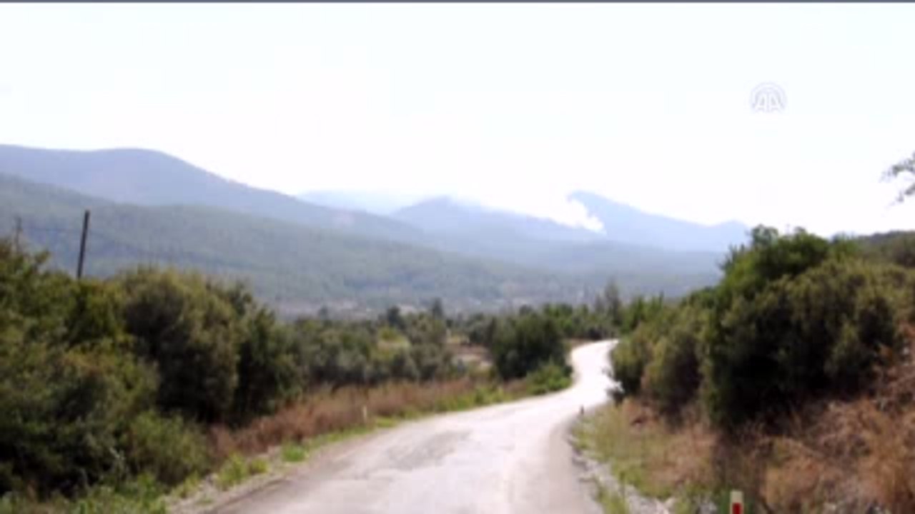Orman Yangını