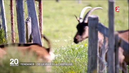 Tendance : de la ville à la campagne
