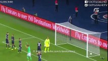 Robert Beric Goal - PSG vs Saint Etienne 1-1