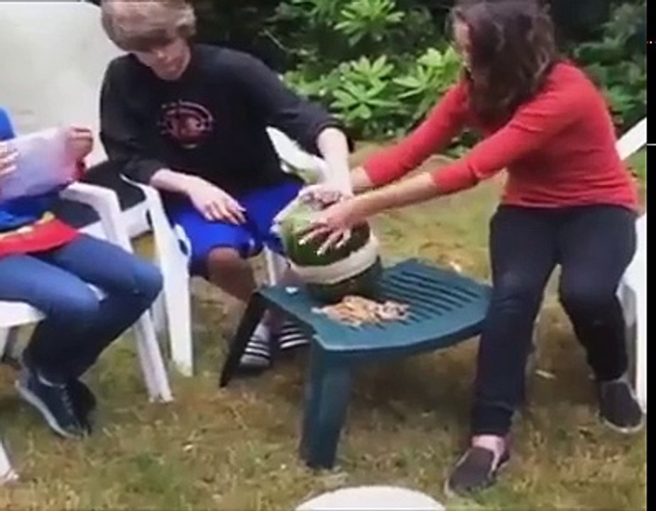 Compilation de Payous - Gamelles à Gogo !