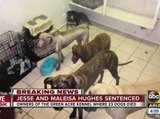 Stiff sentence sought in deaths of 23 dogs in Gilbert