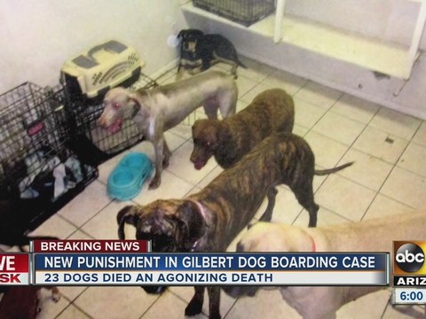 60 days in jail for Green Acre kennel owners