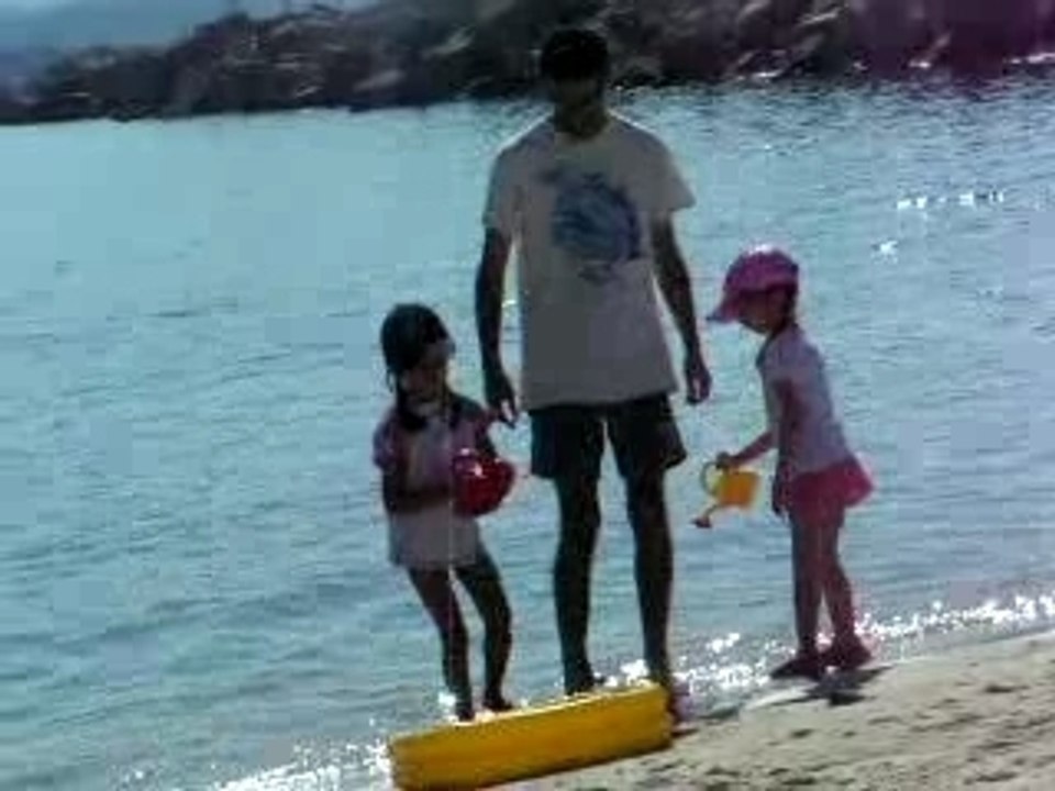 les tortues a la mer (1)