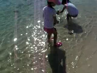 les tortues a la mer (2)