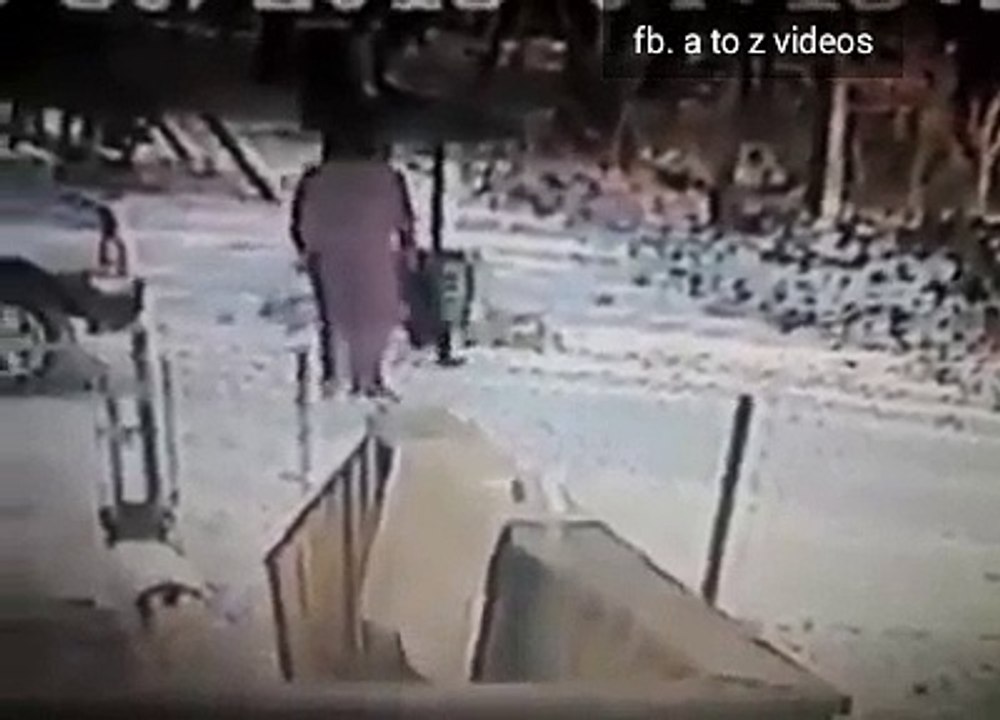 اور لے پنگا بلی سے