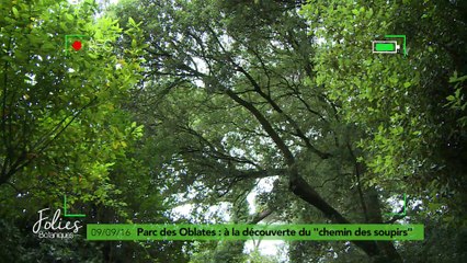 Folies Botaniques au Parc des Oblates #1