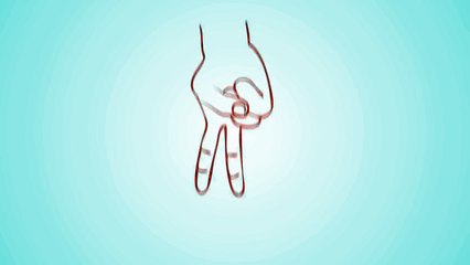 Funny Clips in 30 Seconds