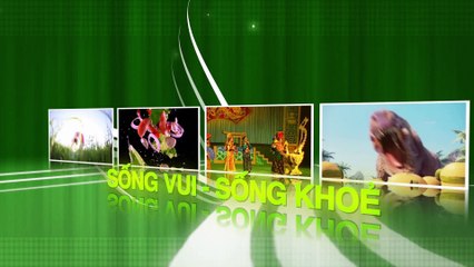 Thông xe toàn tuyến đường nội đô đẹp nhất TP.HCM - Thành Phố Hôm Nay [HTV9 - 10.09.2016]