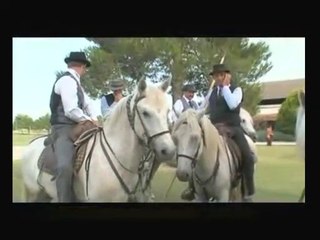 Groupe Gipsy | Rumba | flamenca |  Camargue | Franky Joé Texier