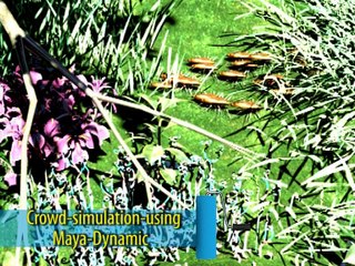 demo_reel_of_qurratulain_razzaq Maya Artist