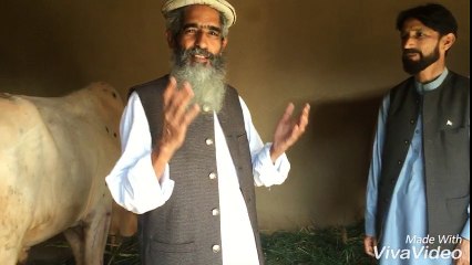 molana ameer hamza at gaily at