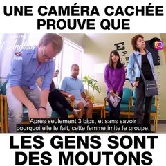 Les gens sont des moutons, la preuve avec cette caméra cachée!