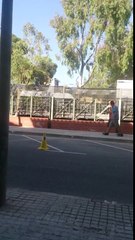 Julio Iglesias Cambrils 2016. La Nave del Olvido ensayos.