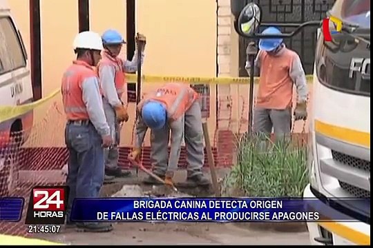 Brigada canina detecta origen de fallas eléctricas tras apagones
