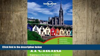 FREE DOWNLOAD  Lonely Planet Discover Ireland (Travel Guide)  BOOK ONLINE
