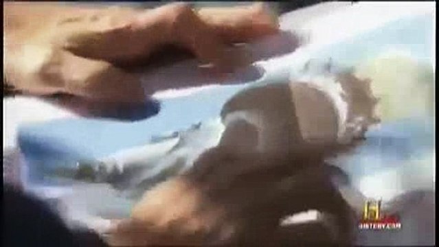 ΑΠΟΚΩΔΙΚΟΠΟΙΗΣΗ ΤΩΡΑ! ΚΡΥΜΜΕΝΑ ΣΥΜΒΟΛΑ ΤΩΝ ΙΛΛΟΥΜΙΝΑΤΙ ΣΤΟ ΑΓΑΛΜΑ ΤΗΣ ΕΛΕΥΘΕΡΙΑΣ!