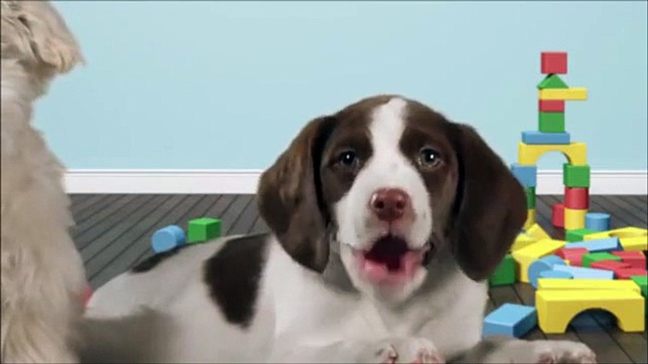 Happy Birthday Kim Johnston