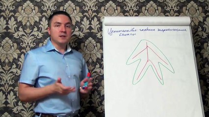 Евгений Грин — Целительство — главные энергетические каналы