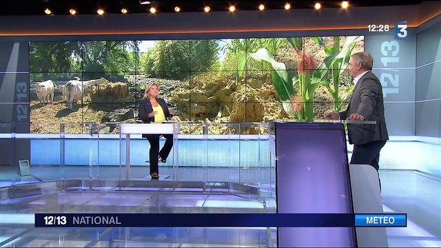 Sécheresse : le niveau des nappes phréatiques n'est pas alarmant