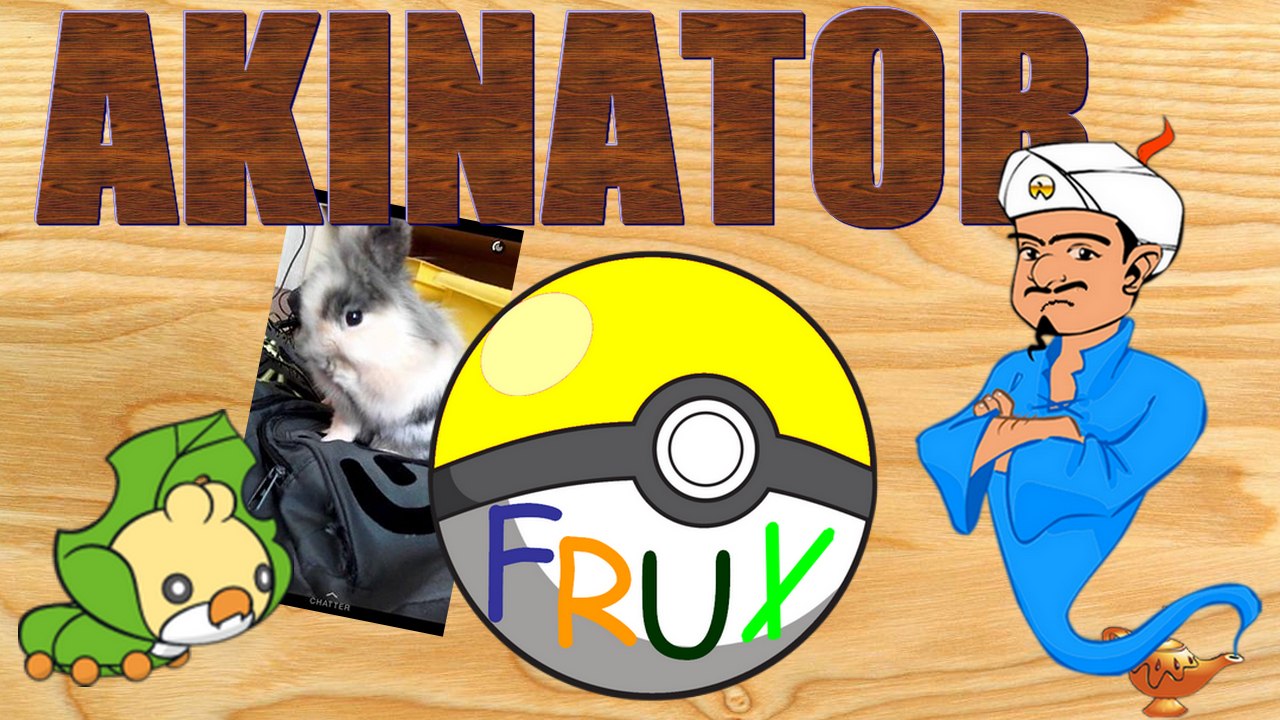 J'ai battu Akinator !