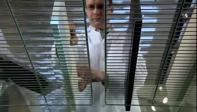 12. Ihr Küchen Partner Essen sehr gute Qualität gegen Feuchte , küchen-partner-essen.de