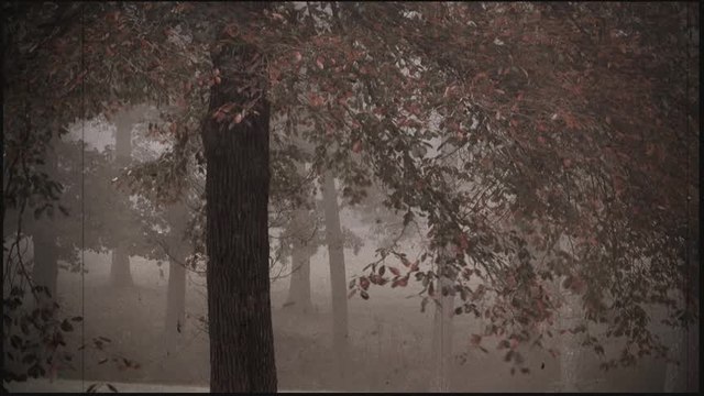 Splet narodnih pesama 10