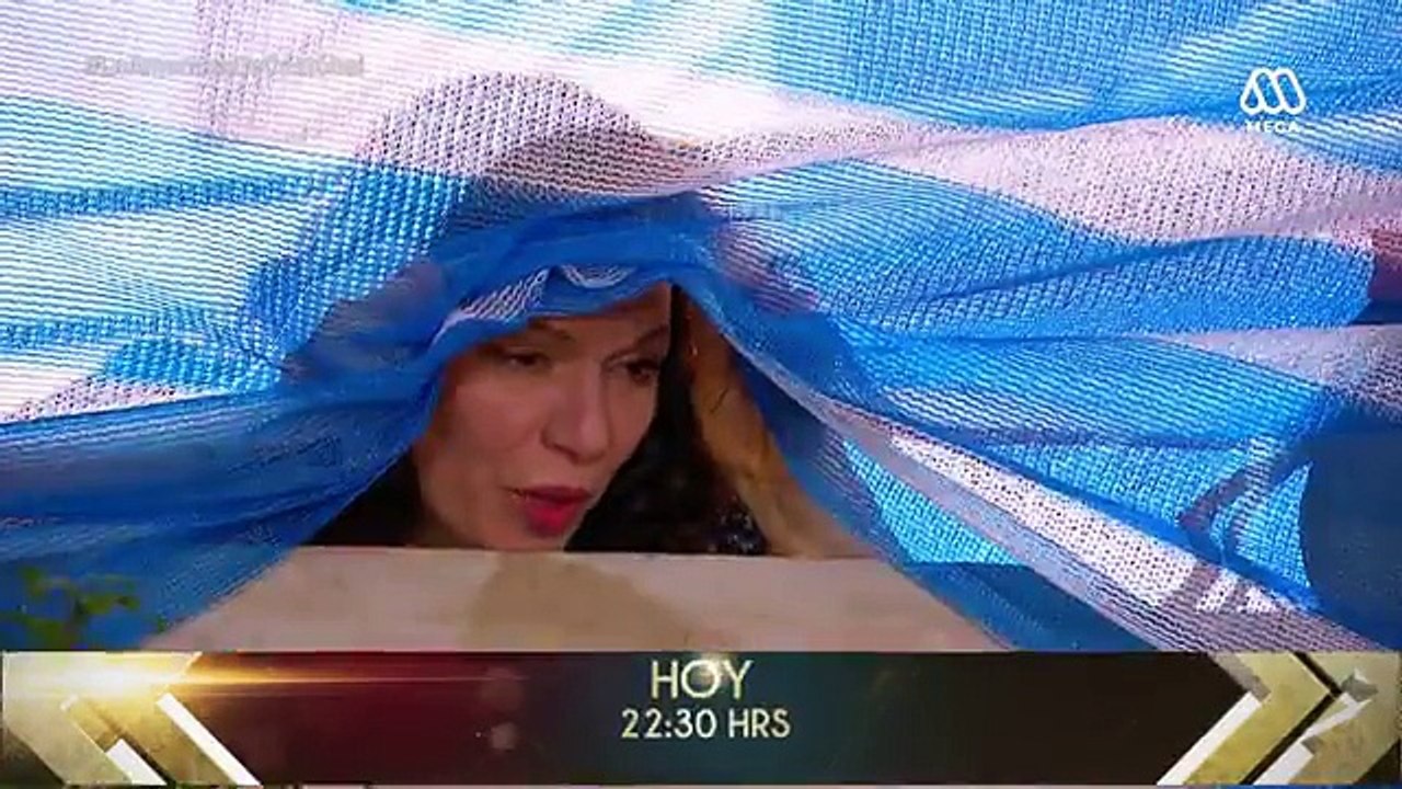 13 Ambar