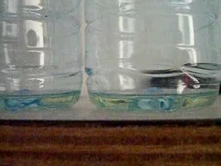 Contenu plateau peu lever