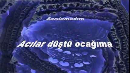 Yağmurlar Düştü Kucağıma Şiir Seslendiren Klip Aynur Avcı