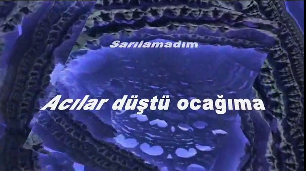 Yağmurlar Düştü Kucağıma Şiir Seslendiren Klip Aynur Avcı