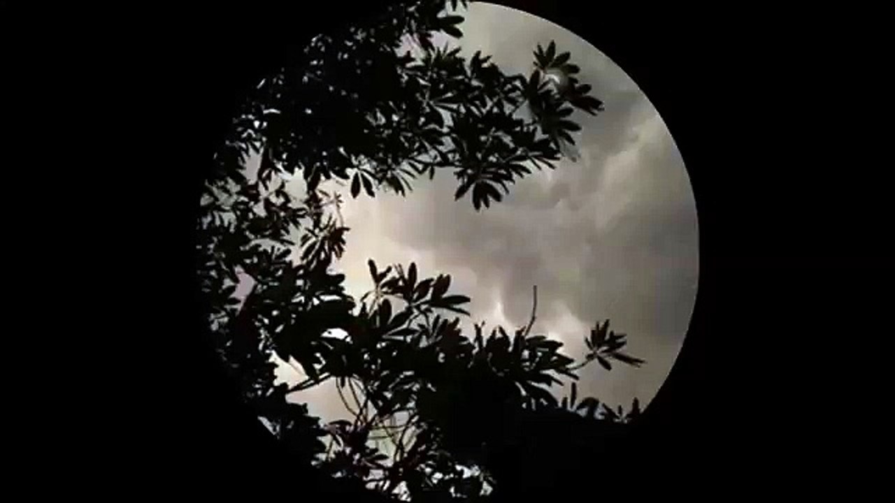 ฟ้าคลุ้มฝน - ชาวคณะสุนทราภรณ์ - YouTube