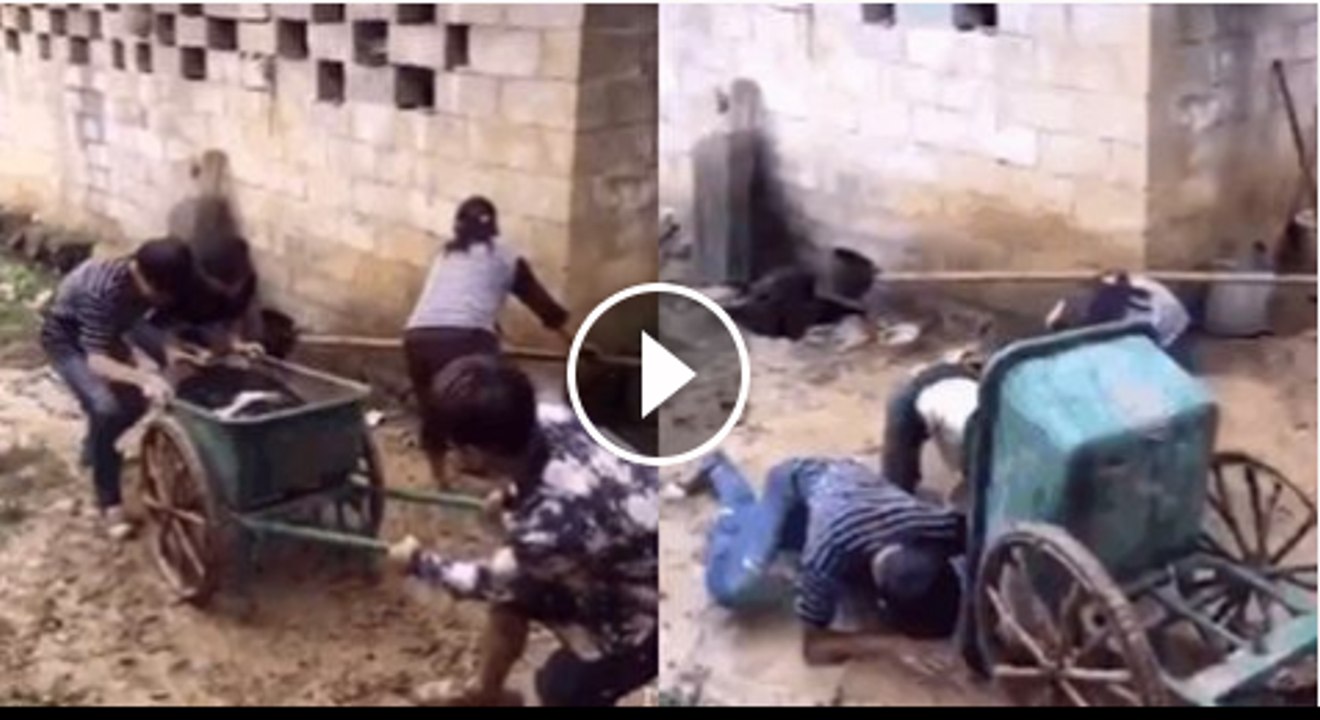 kabi kabi jaldi kitani nuqsan da hoti ha video dekhain