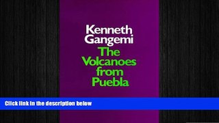 complete  The Volcanoes from Puebla