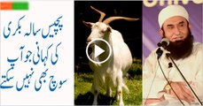 Unbelievable-Story-Of-26-Years-Old-Goat-By-Maulana-Tariq-Jameel-2016