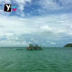 Biển của ta - đất trời của ta - Young TV