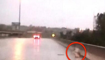 Cops Were Driving In A Heavy Storm… When They Spotted Something That Broke Their Hearts.