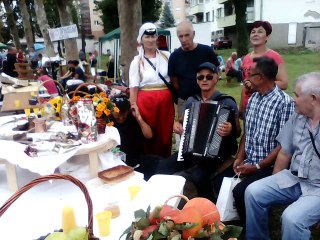 5  Gastro fest BROD 10.09.2016. god