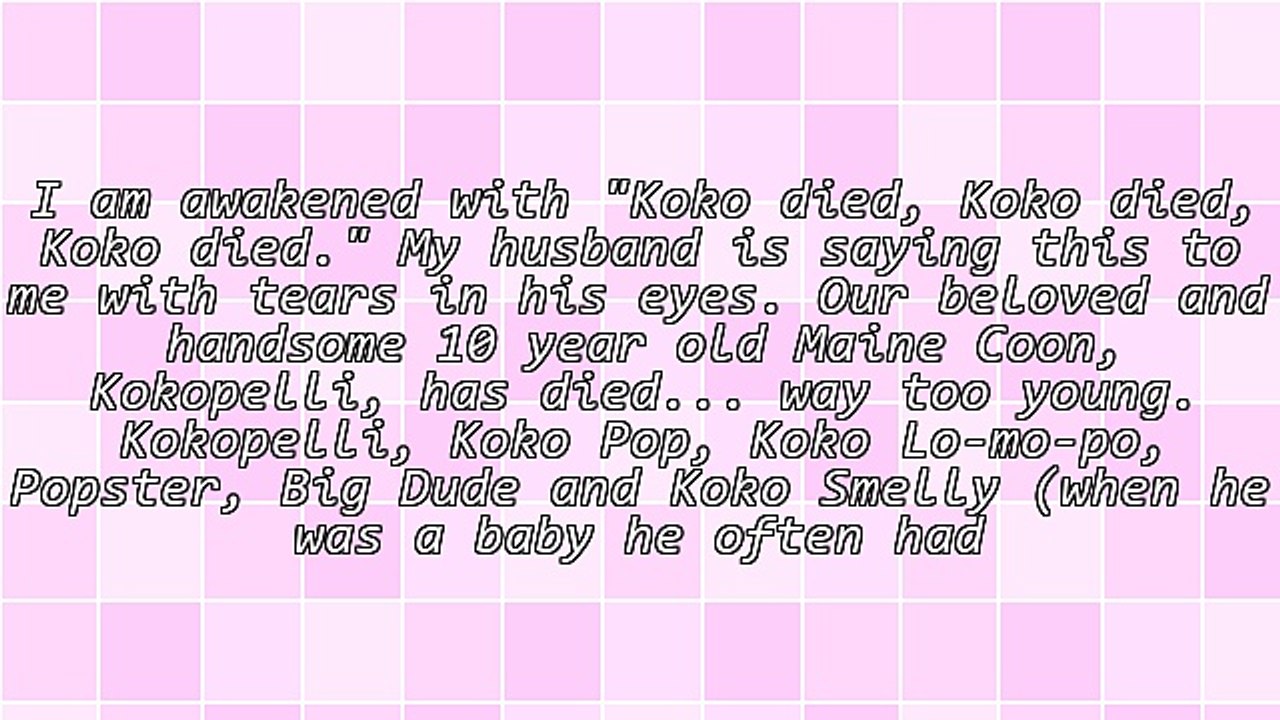 The Loss of a Pet - Ruminations