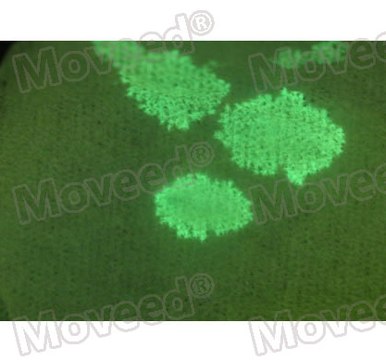 MOVEED® Full-Spectrum Forensic Light & Laser Detecting Light Source OR-GQG1800