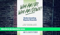 Big Deals  Why Am I Up, Why Am I Down?: Understanding Bipolar Disorder (A Dell Mental Health