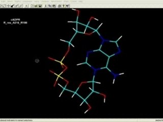HyperChem Tutorial: Extracting Angle Data 📊