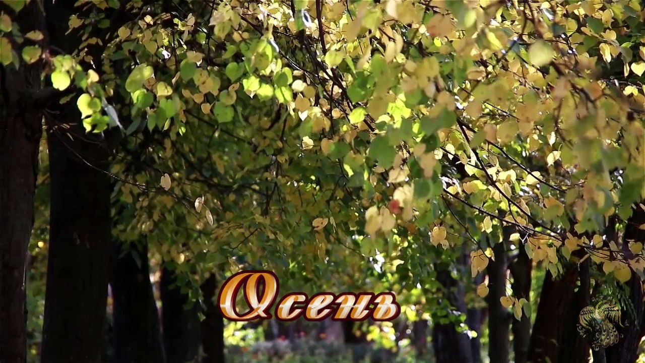 Осень. Дмитрий Метлицкий