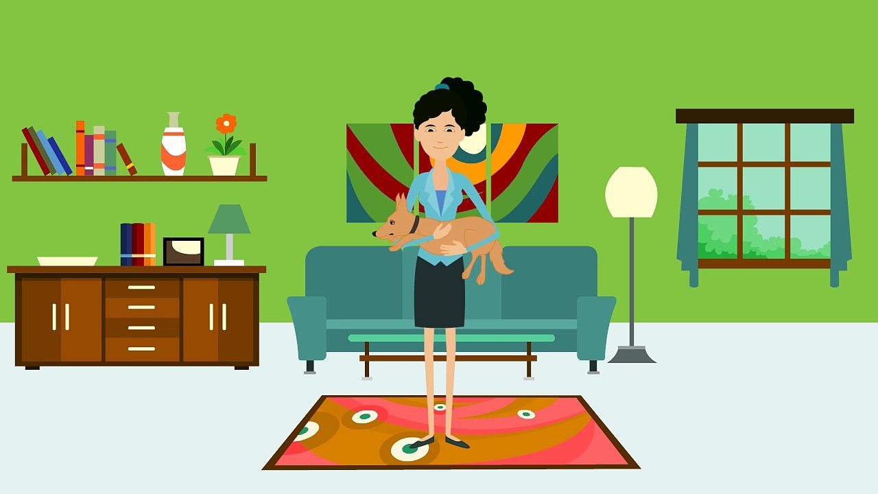 Dog Grooming Mullingar | CALL 044-9300000 Pet Groomers in Mullingar Co Westmeath