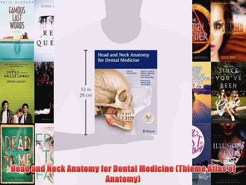 [PDF] Head and Neck Anatomy for Dental Medicine (Thieme Atlas of Anatomy) Popular Colection